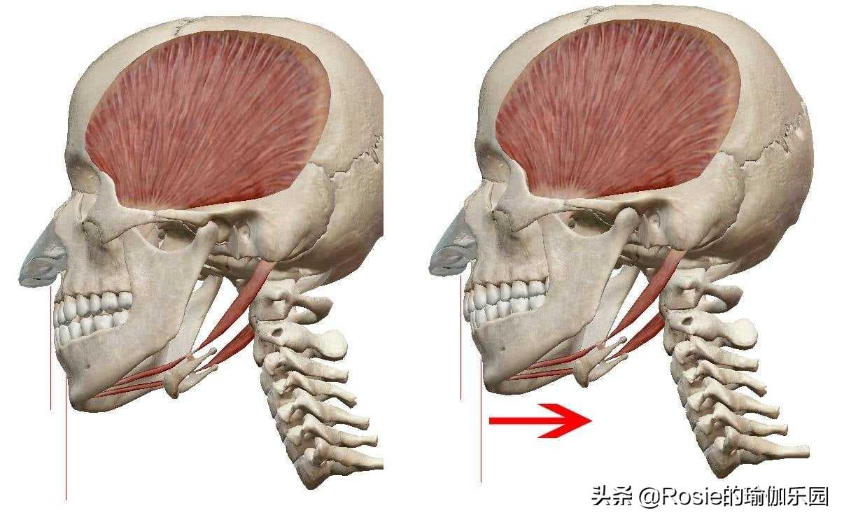 下巴后縮的人瘦下來(lái)好看嗎？