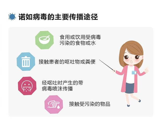 小學(xué)100名學(xué)生感染諾如病毒，校園疫情引發(fā)熱議