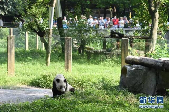 重慶動(dòng)物園黑名單制度，守護(hù)動(dòng)物與游客的雙重安全