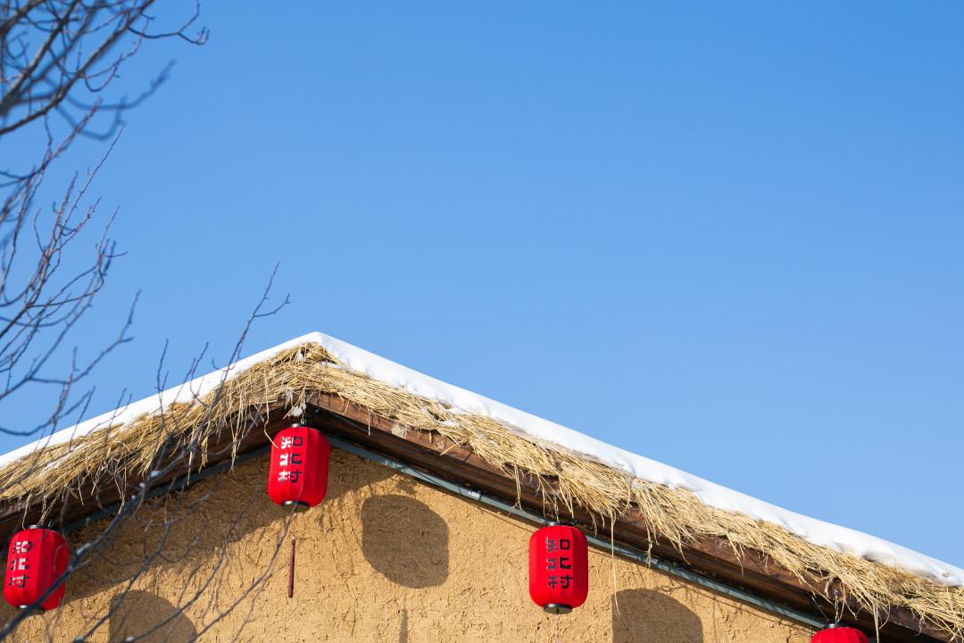 東北冰雪旅游攻略，暢玩冰雪世界的終極指南