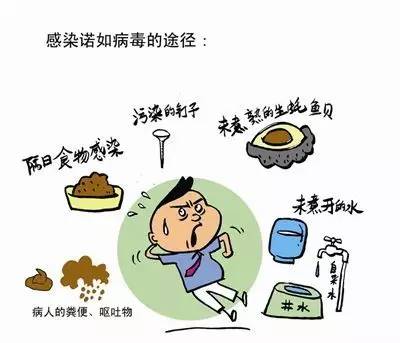 100名學生感染諾如病毒，校園疫情的警示與對策