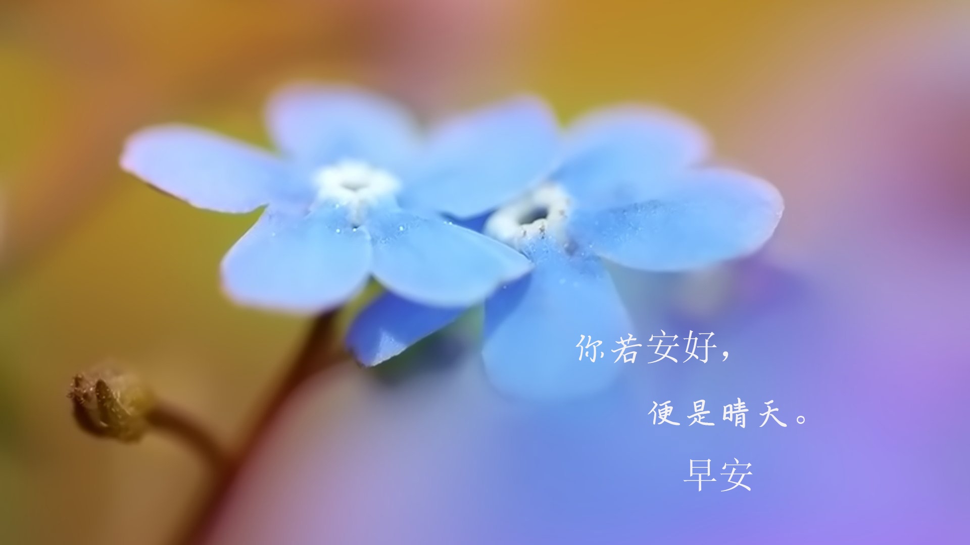 我花了一個(gè)月，搞懂了這一幀——從困惑到領(lǐng)悟的成長(zhǎng)之旅