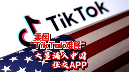 TikTok難民涌入國產(chǎn)APP后表白中國