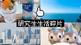 偶遇旋轉(zhuǎn)貓演唱會，意外的音樂之旅