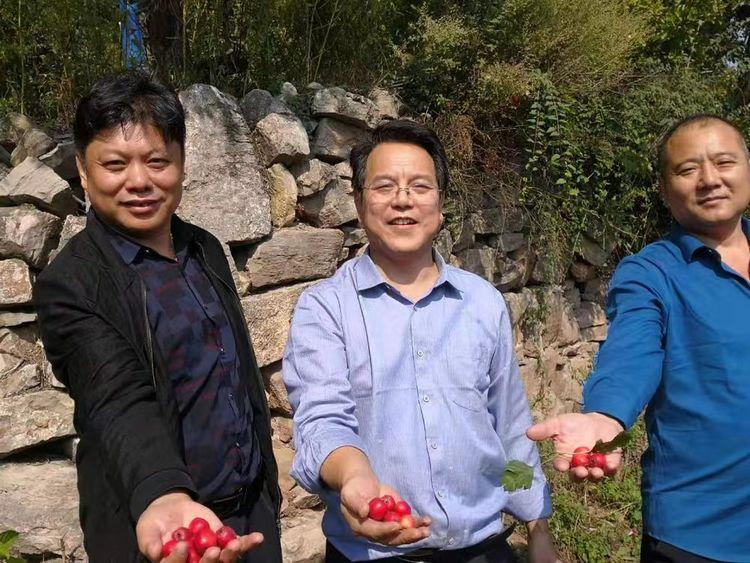 媽媽癌癥晚期邊吸氧邊給女兒包餃子