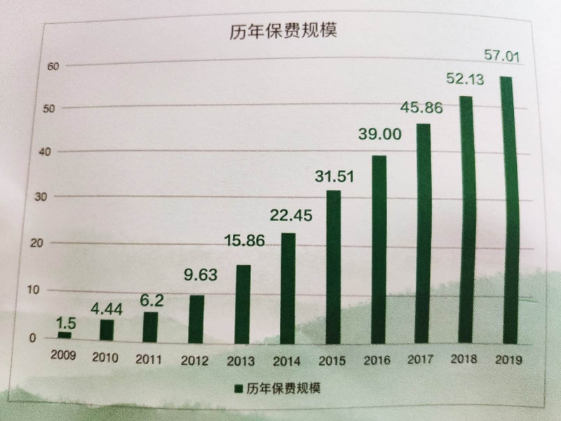 解讀2025年起大型國有保險公司每年新增保費的30%用于投資A股的政策及其市場影響