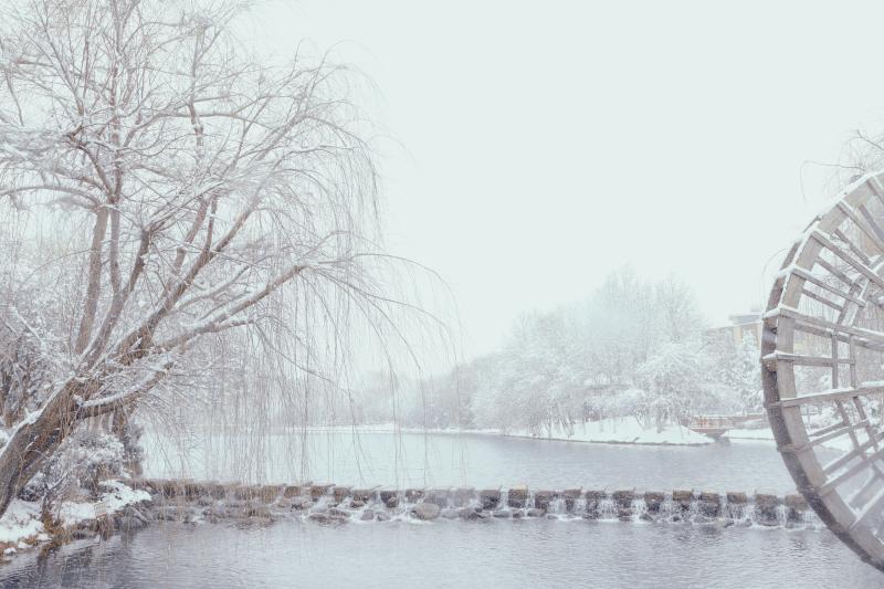 你的城市下雪了嗎？