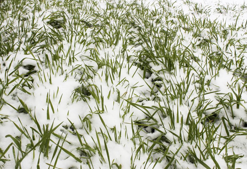 新一輪雨雪即將上線，寒冬小貼士你準(zhǔn)備好了嗎？