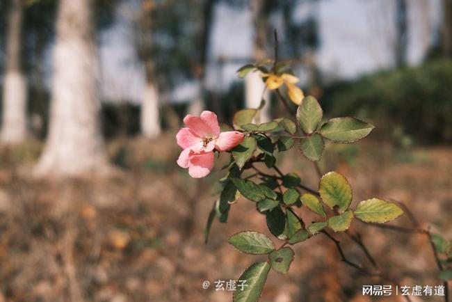 立春躲春的正確方式