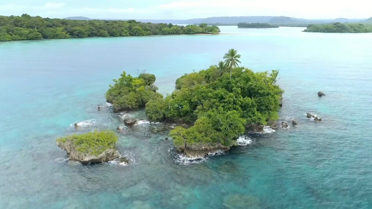 瓦努阿圖（荒島版）第4集，勇闖南太平洋無人島，大海螺泛濫，大龍蝦抓到手軟