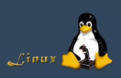 揭秘Linux，為何你必須要掌握這門技能？