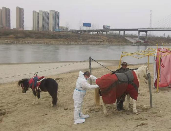 跳江救人英雄白馬悲歌，生命贊歌背后的無盡哀思