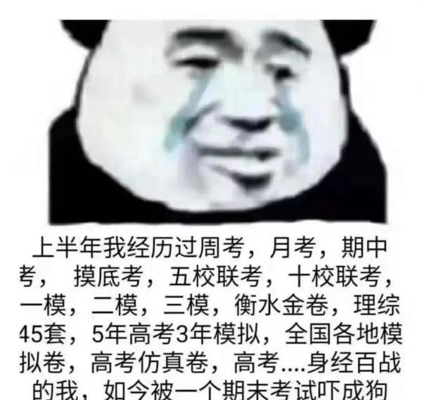 你楊羨可就歸我酈五娘管了——一場情感與法律的深度解讀