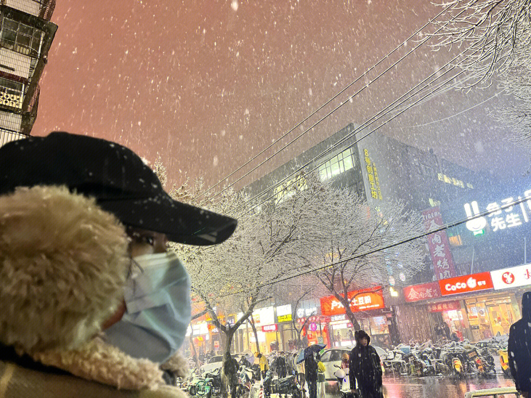 鄭州瑞雪紛飛，雪落古都，冬日畫卷驚艷開啟！