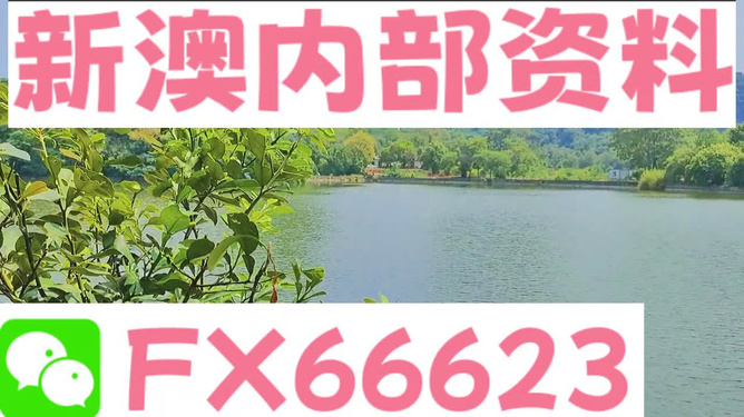 新澳精準(zhǔn)資料免費(fèi)提供網(wǎng)站有哪些