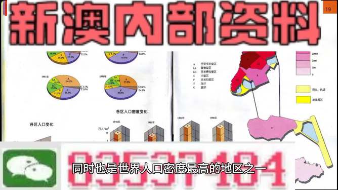 新澳門資料大全正版資料2025年免費下載,家野中特