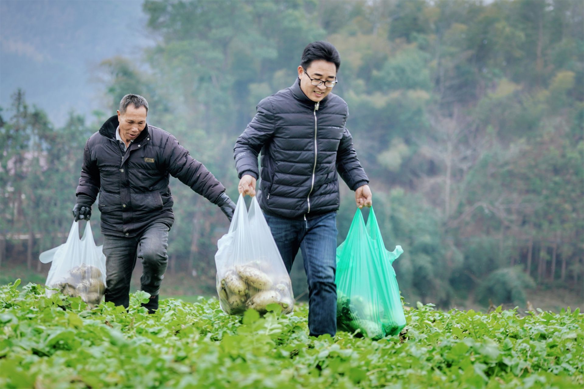 駐村書(shū)記穿行政夾克跳舞帶貨，新風(fēng)尚還是舊套路？深度解讀背后的故事