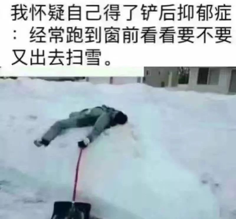 華人遇暴雪后鏟雪抑郁，背后的故事與挑戰(zhàn)