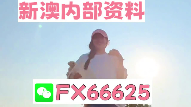 揭秘777778888八、精準免費四肖背后的大機遇！如何用suite30.114輕松制定你的財富計劃？