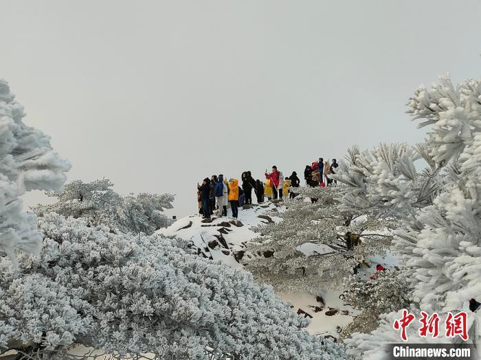 雪后登山驚魂！游客滑倒險墜梯，究竟該如何應對？深度解析背后的隱患與挑戰(zhàn)！