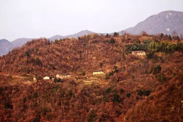 揭秘新政背后，城鎮(zhèn)居民禁入農(nóng)村宅基地購房，意欲何為？