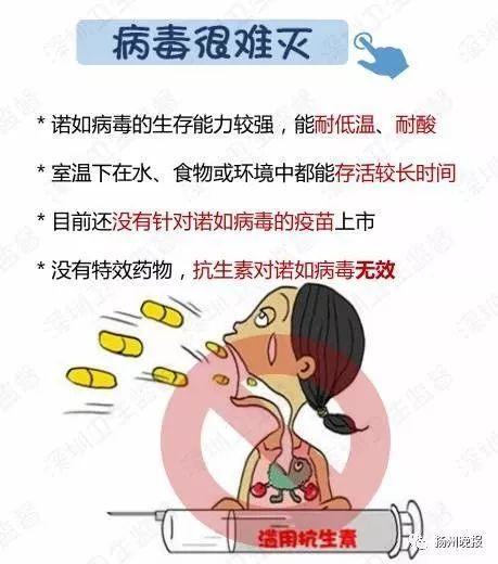 警惕！諾如病毒防護指南來襲！——守護你我健康，遠(yuǎn)離病毒威脅