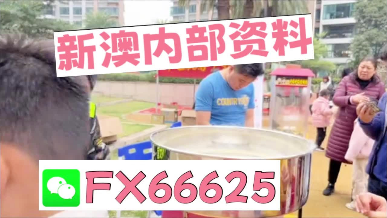 震驚！新澳最新最準(zhǔn)資料大全揭秘，YE版65.64背后的成功之路，99%的人竟然忽略了這一點！