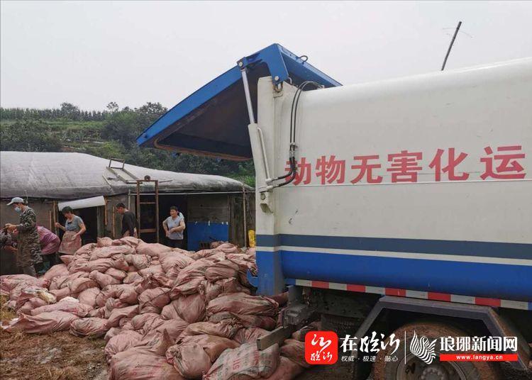 司機(jī)行車途中喝水引發(fā)車禍大火，這些你必須知道！