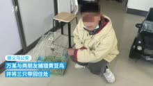 澳門男子非法獵捕被采取刑事強(qiáng)制措施深度解析