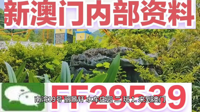 驚爆！2025澳門特馬現(xiàn)場直播揭秘，冒險(xiǎn)版55.949助你輕松選號，一夜暴富不是夢！