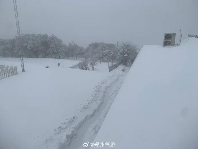 山東多地遭遇罕見暴雪，積雪深度驚人達(dá)13厘米——雪中真相揭秘！