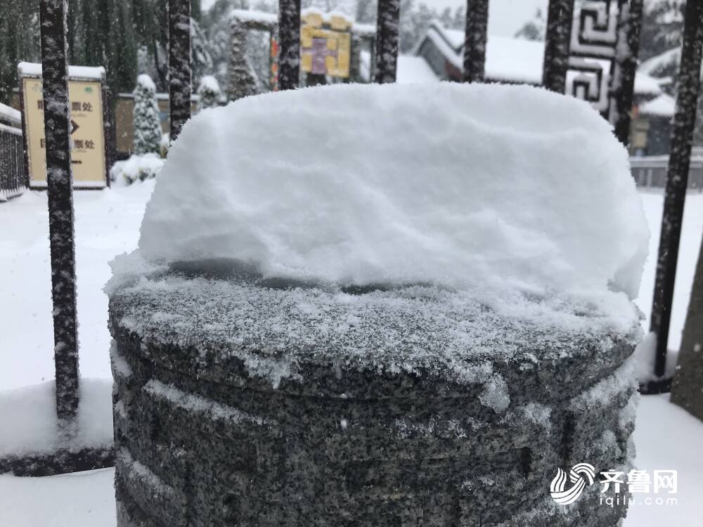 山東多地遭遇罕見暴雪，積雪深度驚人達(dá)13厘米——雪災(zāi)背后的真相揭秘