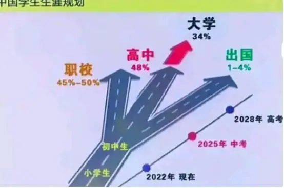 熱議！人大代表提議調(diào)整中考分流時(shí)間，背后隱藏著什么？