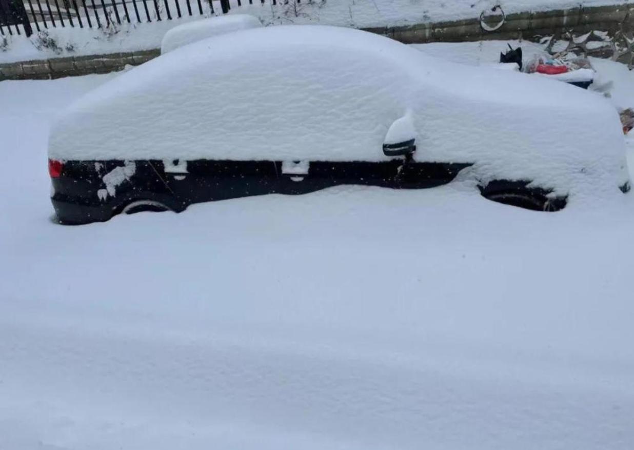 山東天降瑞雪獲專家盛贊，利好無疑，且看雪后新篇章