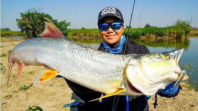 大學(xué)生釣獲巨型魚王，50斤大魚的驚人故事！揭秘背后的努力與喜悅！