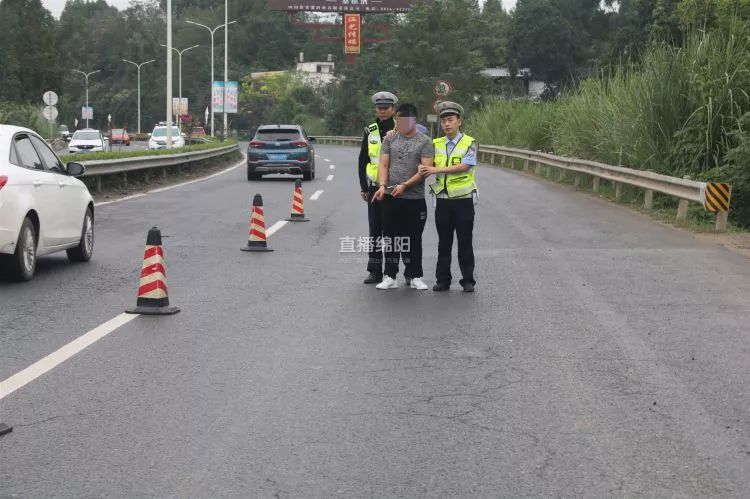 震驚！老人被撞身亡肇事逃逸司機(jī)落網(wǎng)，事件背后真相令人深思