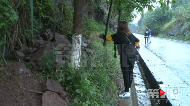 小車滾落山崖悲劇釀成，五人不幸罹難，親屬悲痛發(fā)聲——這起事故背后隱藏哪些細(xì)節(jié)？