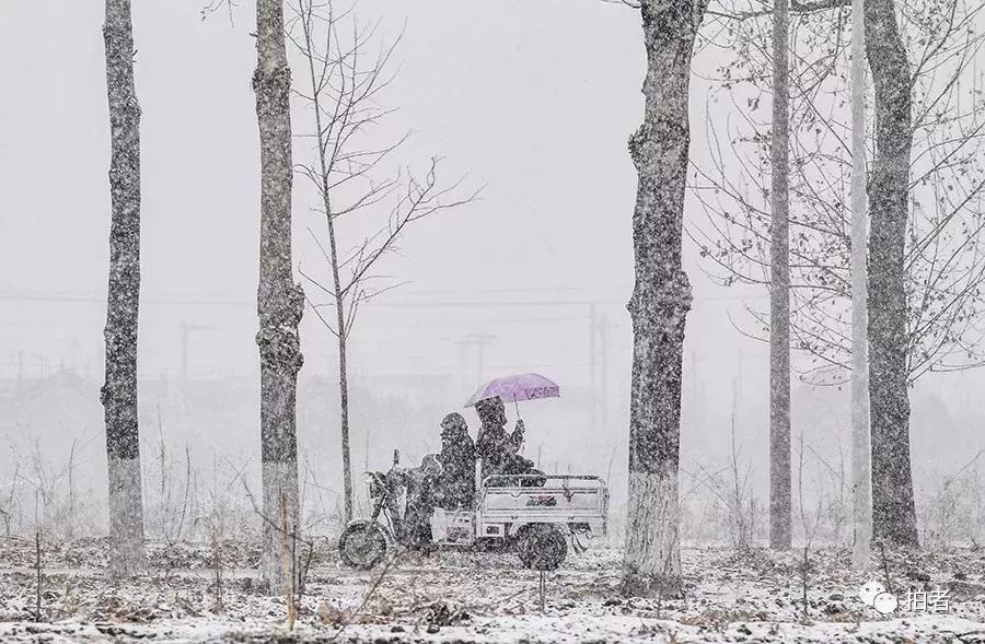 北京驚現(xiàn)雪舞紛飛，氣候變遷下的冬日奇跡？