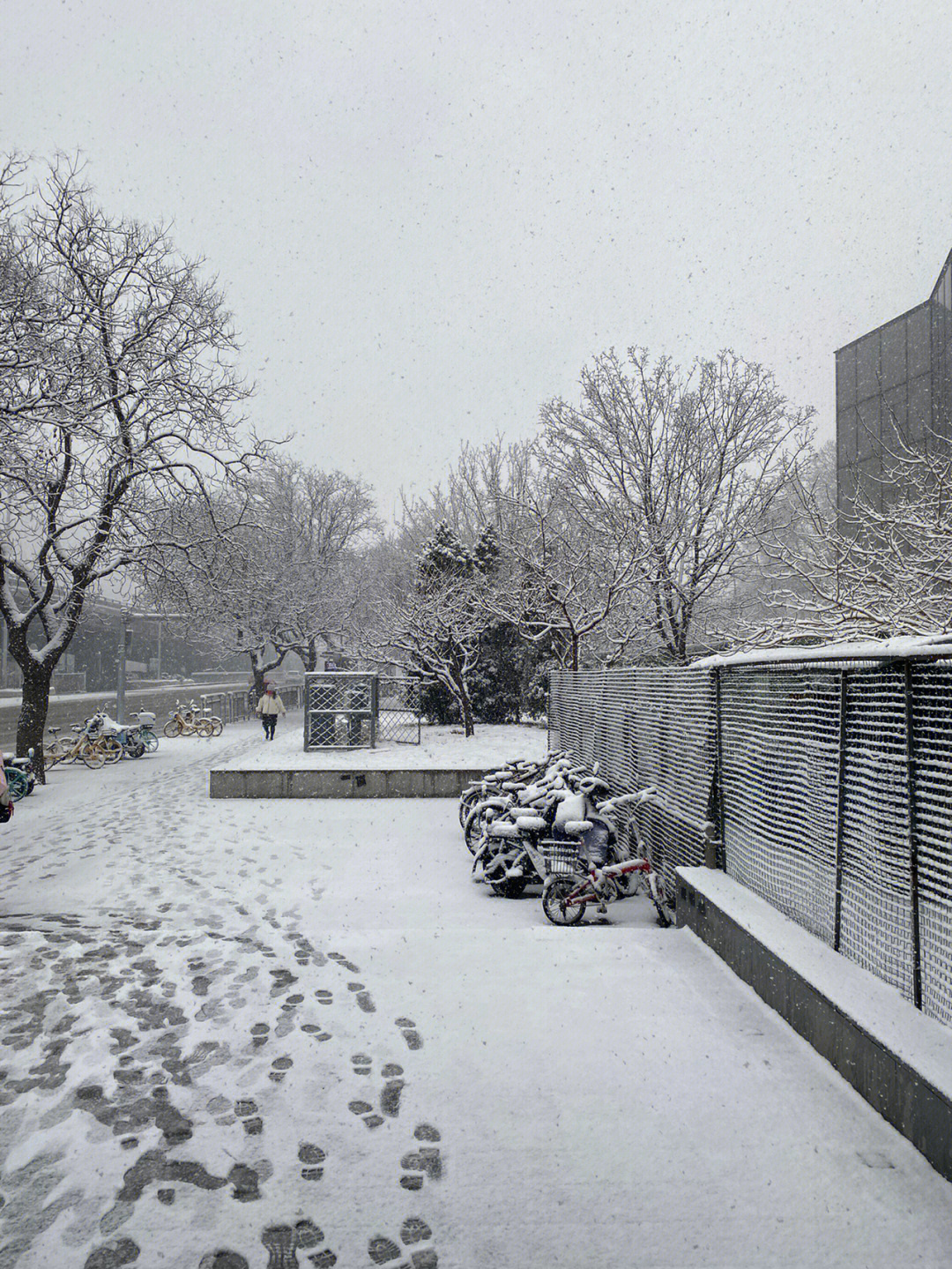 北京竟然下雪了，一場意料之外的冬日驚喜