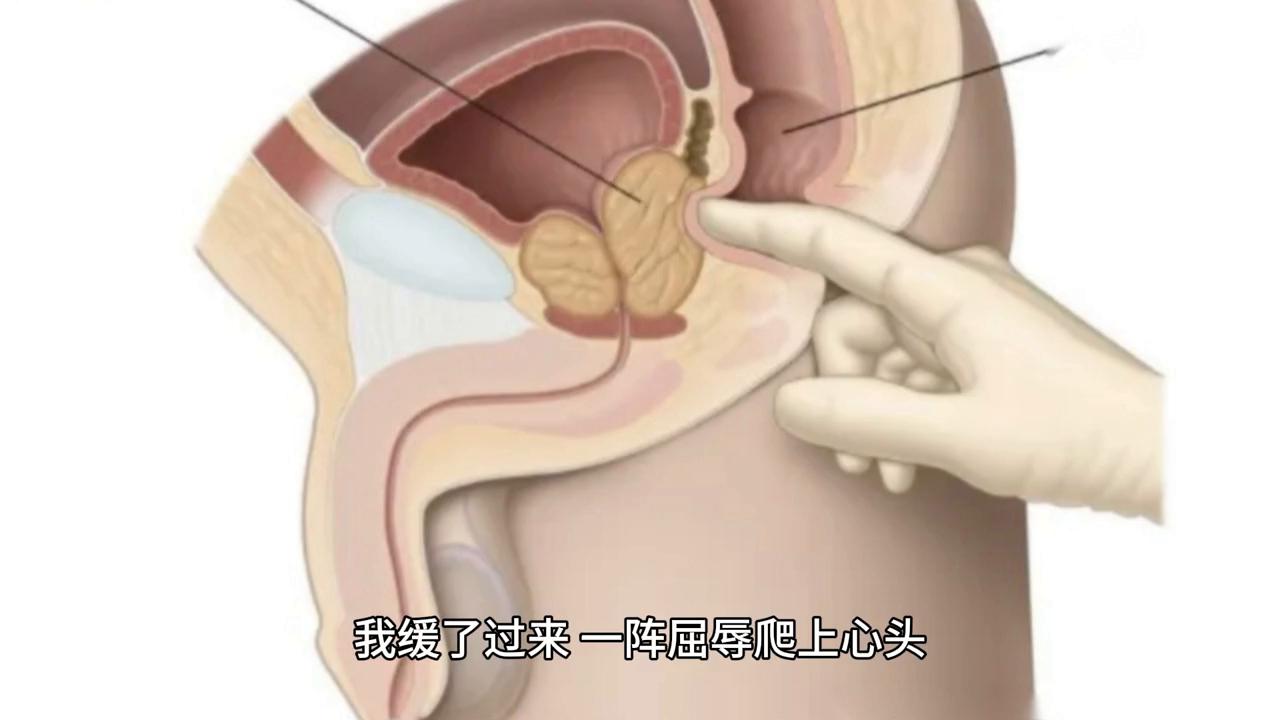 揭秘徒手制作一次性內(nèi)褲全過程，簡單幾步，輕松制作，衛(wèi)生安全有保證！