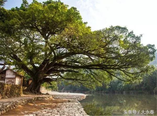 澳門一一碼一特一中準(zhǔn)選今晚！超值版81.986助你實現(xiàn)新年愿望，錯過再等一年！