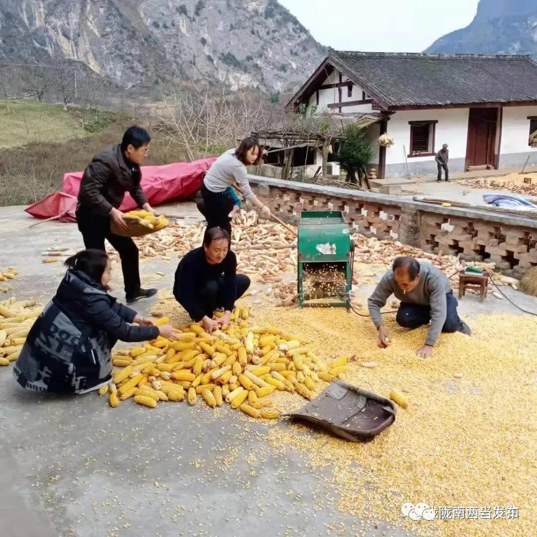 女子辭去月薪8000工作轉(zhuǎn)行賣豬肉，勇氣背后的故事