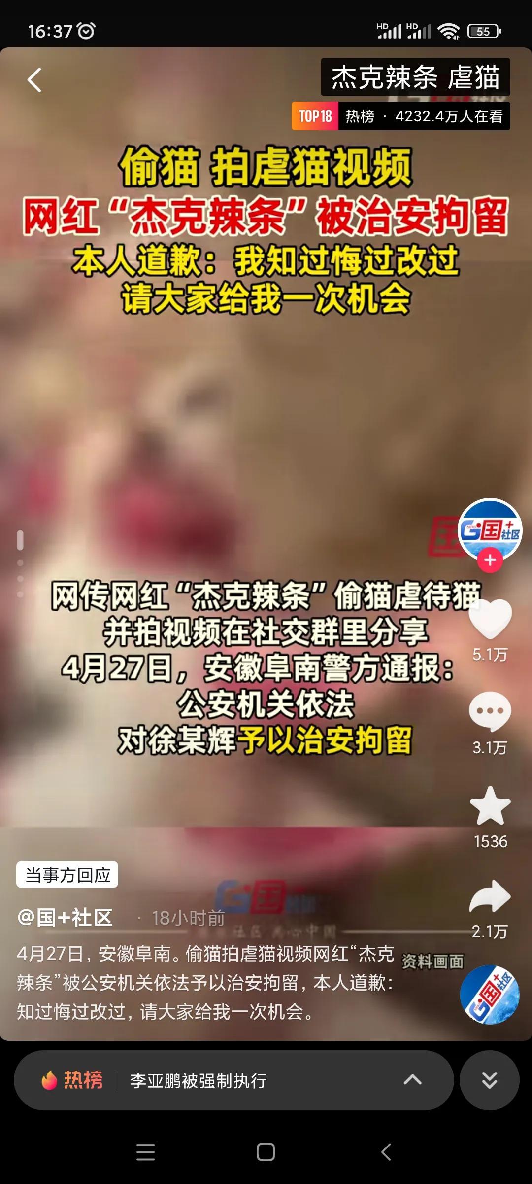 學(xué)生虐貓事件曝光，老師公開道歉背后的深度反思